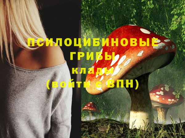гашик Куйбышев