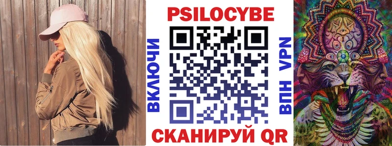 Купить закладки  Зуевка  Псилоцибиновые грибы ЛСД 